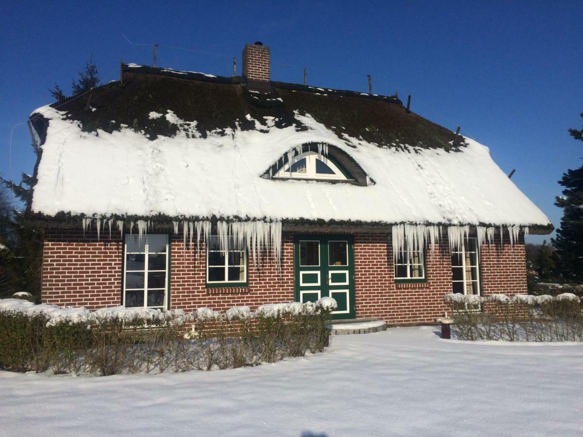 Haus Sonnenblume Lejlighed Lohme Eksteriør billede